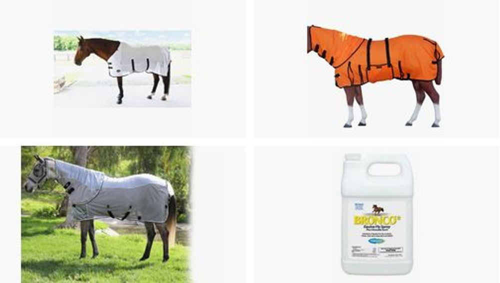 Summer Bug Season Must Haves