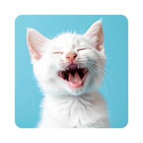 Gatos