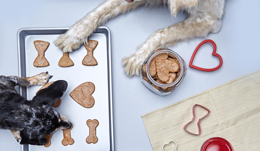 woof dog biscuits