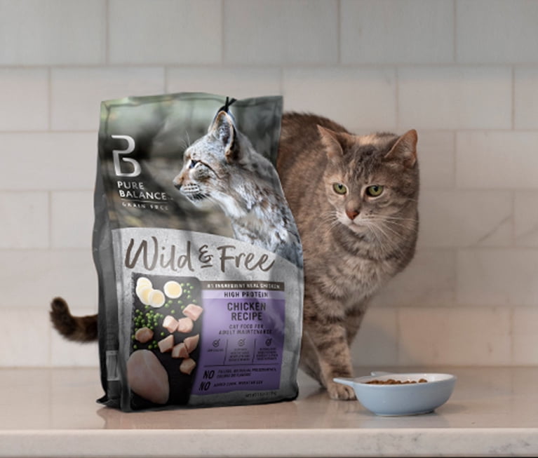 ellen degeneres cat food