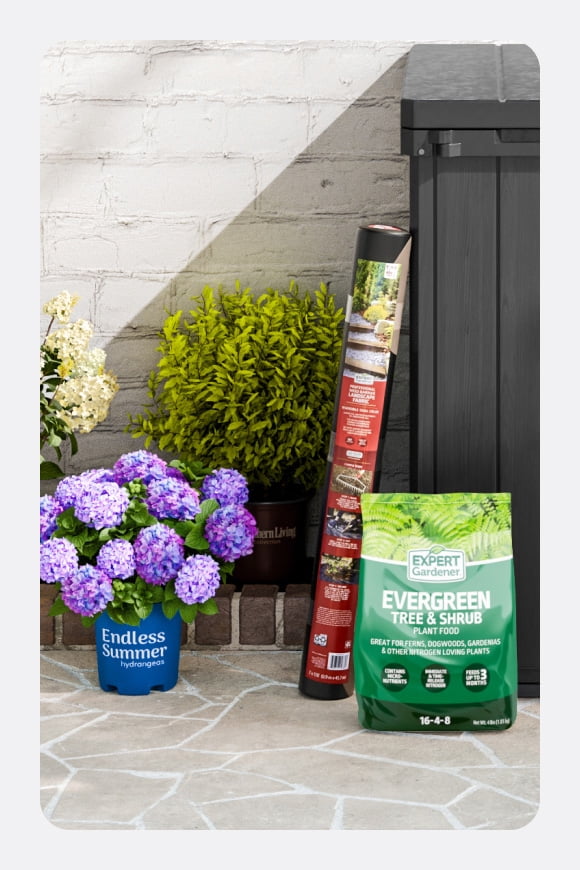 A selection of flowers, shrubs and bags of soil in a yard setting.