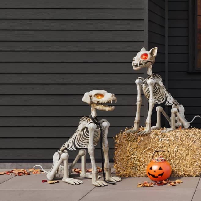 Image of a front porch with a skeleton dog and a skeleton cat as decor. Only at Walmart. Outdoor Halloween decor. Shop all.