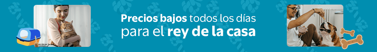Precios Bajos todos los días para el rey de la casa