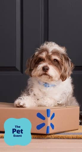A dog sits on a Walmart Delivery box on the doorstep.
