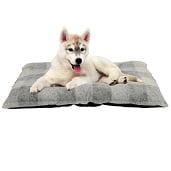 Dog Beds