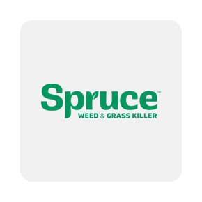 Spruce