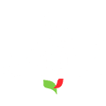 Plan Nescafé