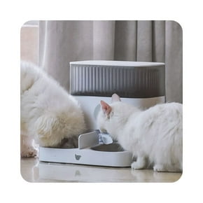 Image of a smart pet feeder with a little white dog and little white cat eating from it. Make space for more. Pets.