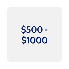 $500 - $1000