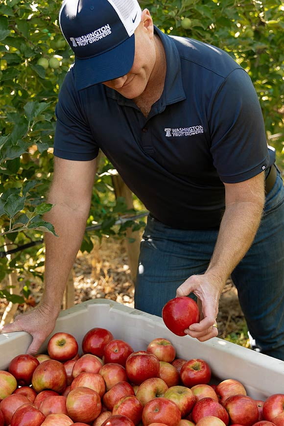 A farmer sorting a bushel of apples.
