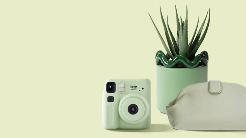 Soft green lifestyle assortment featuring an instant camera, potted succulent, and cosmetic pouch on a pastel backdrop.