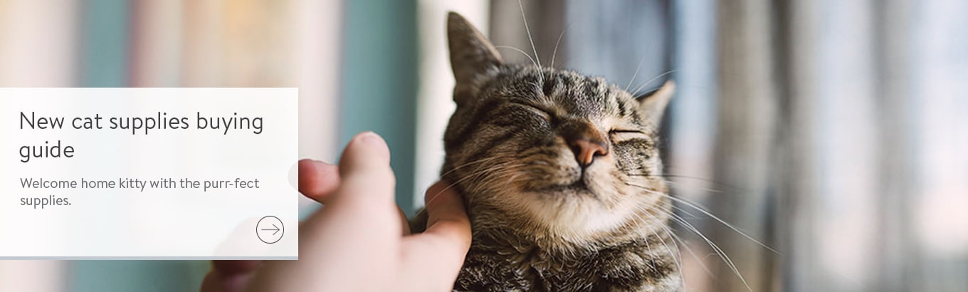 purina kitten food walmart