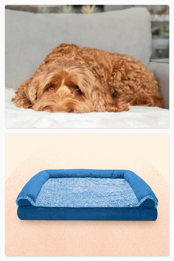 Large Dog Beds in Dog Beds - Walmart.com