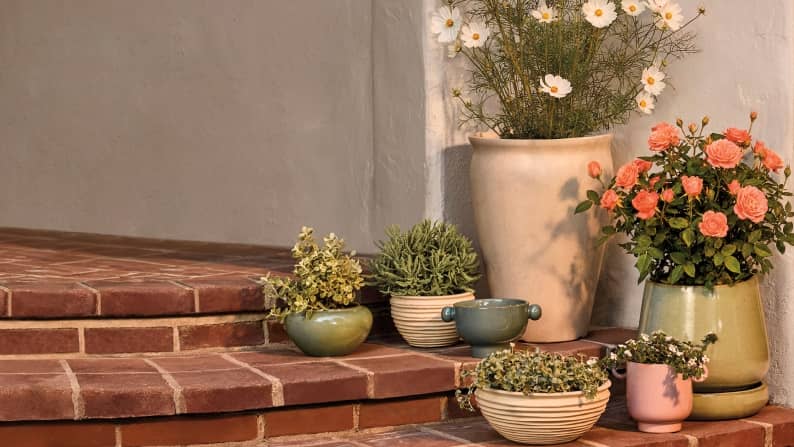 A variety of beige, green and pink ceramic planters holding various florals and leafy greens are arranged on brick steps against a white wall.