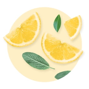 Lemon and mint leaves