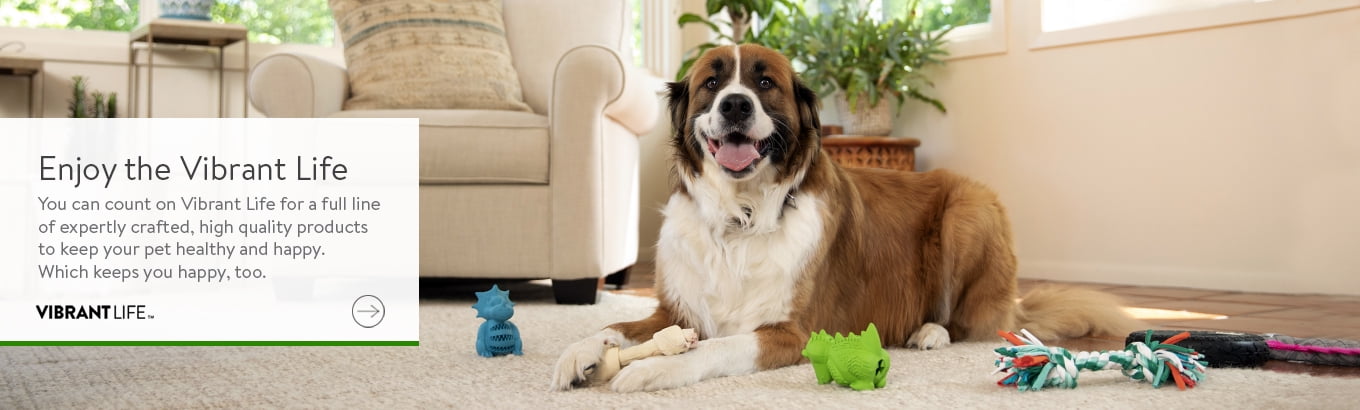 cheap dog toys walmart