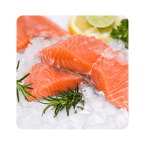Todos los Salmones