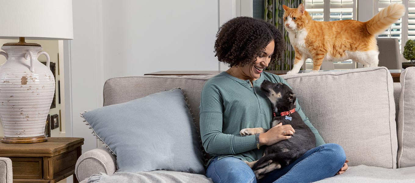 Does Walmart Carry Frontline For Dogs