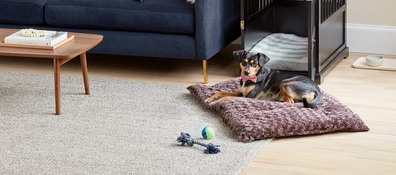 Pet Supplies