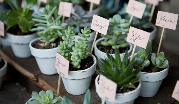 7 Simple Diy Wedding Favors Walmart Com