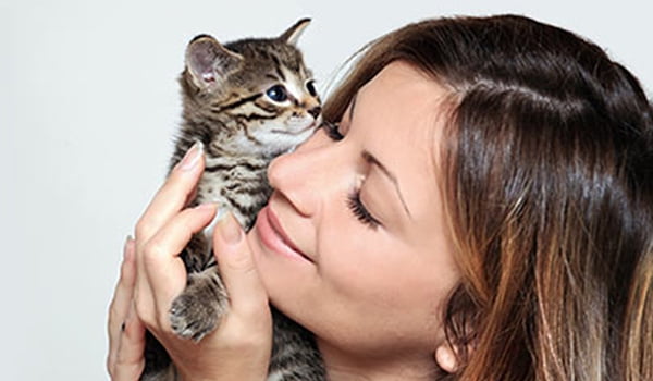 Adopting a cat pet