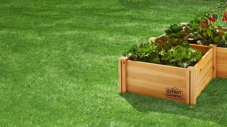 A raised bed filled with plants on a grassy lawn.