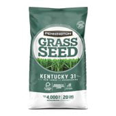 Grass Seed & Sod