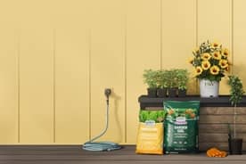 A selection of plants, flowers and soil next to a yard box in a yard setting.