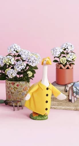 From nine dollars eighty-eight. Decorative flower pots, garden tools, garden gloves and ceramic goose wearing rain gear.