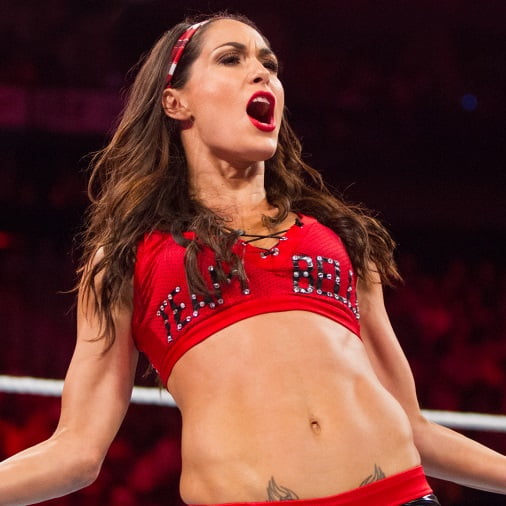 nikki bella figure size