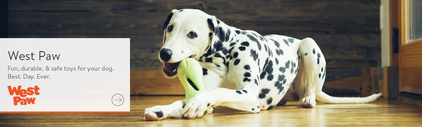 small dog toys walmart