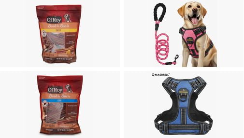 Pawsitively Purrfect Must-Haves