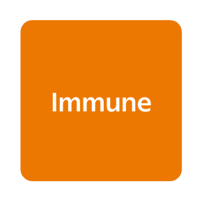 The word “immune” is against an orange square background.