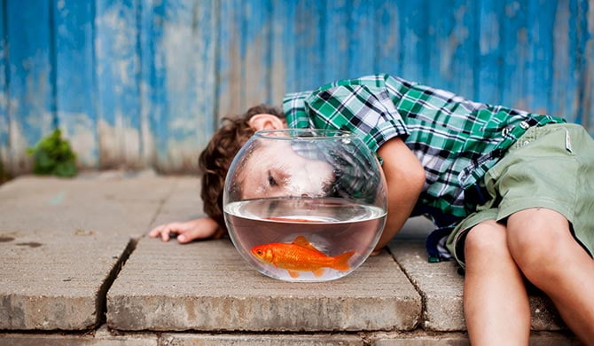 Flower Aquarium Decorate Dining Table make a splash with these aquarium necessities