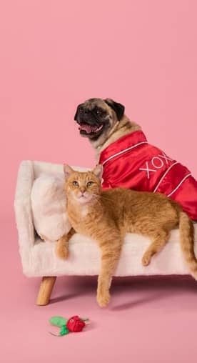 Dog and cat laying on a soft, cream colored pet bed wearing Valentine’s Day outfits.