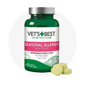 Dog Allergy