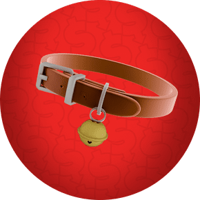 Accesorios para gato