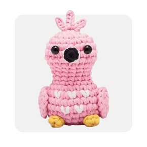 Crochet kits