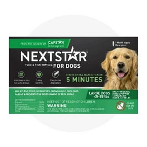 dog flea and tick