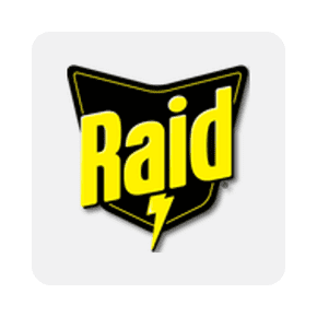 Raid logo on light gray background