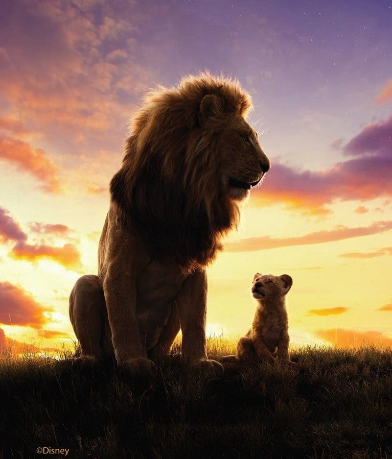 lion king baby clothes walmart