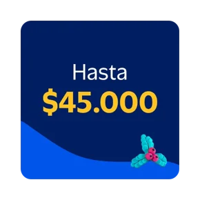 Regalos Hasta 45000 en Lider.cl