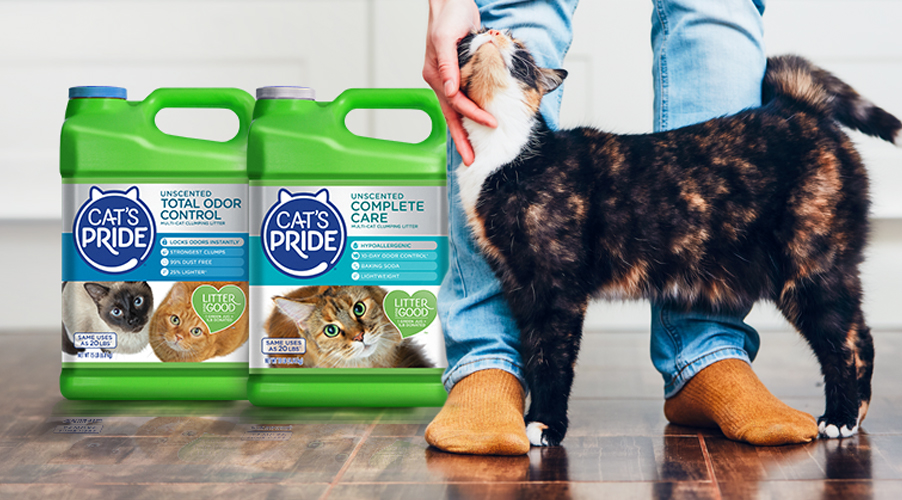 Albon For Cats Tractor Supply toxoplasmosis