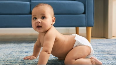 Baby gates. Create a safe space for your curious crawler to play. Shop now.