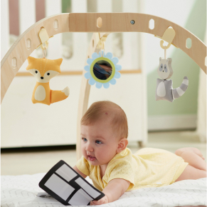 Baby & Toddler Toys