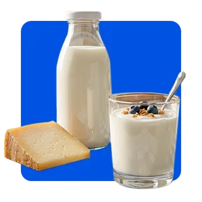 lácteos leche queso yogurt griego lider