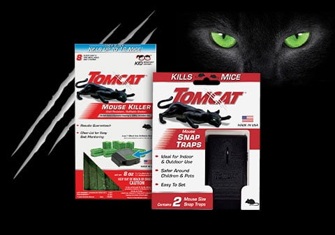  Tomcat Press 'N Set Mouse Trap, Plastic, Spring-Loaded Mouse  Killer with Grab-Tab, 2 Traps : Patio, Lawn & Garden