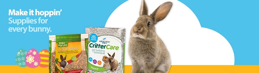 Pet Supplies - Walmart.com