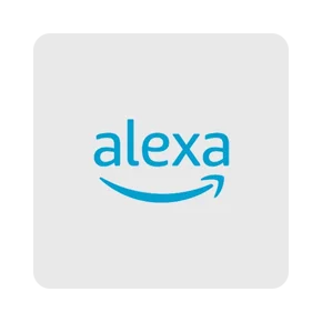 Alexa en lider.cl 
