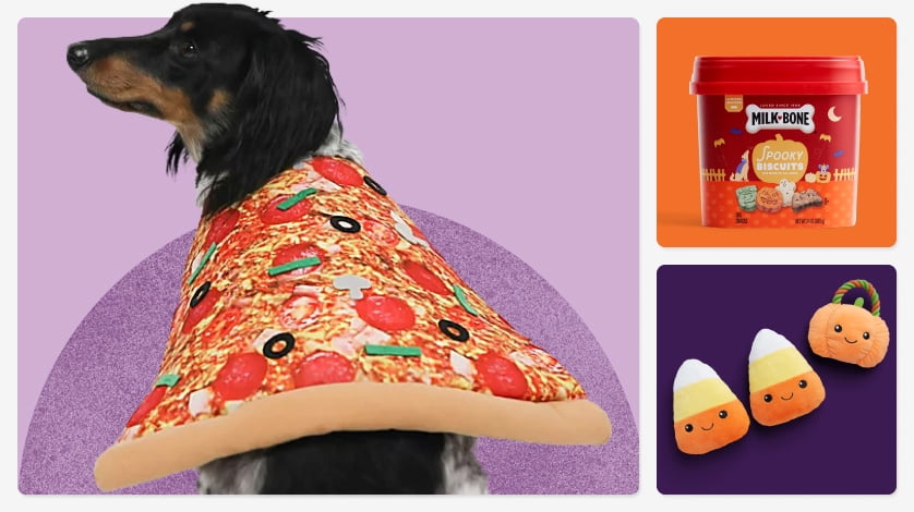 All Star Dogs: Miami Heat Pet apparel and accessories